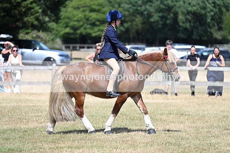 WJ7_3382 - Class 8 Ridden Veterans