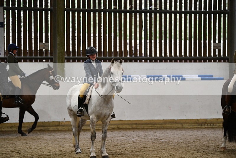 WJ5_8039 - Class 13 Ridden Part Breed