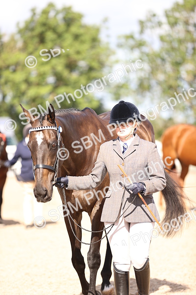 SBM_11517 - Class 407 - IH Hack-Riding Horse