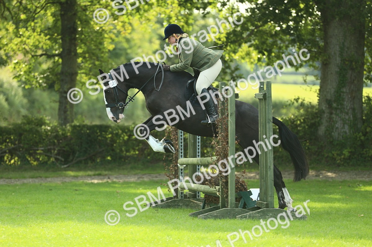 SBM_50618 - S33 - Working Hunter & Working Show Horse