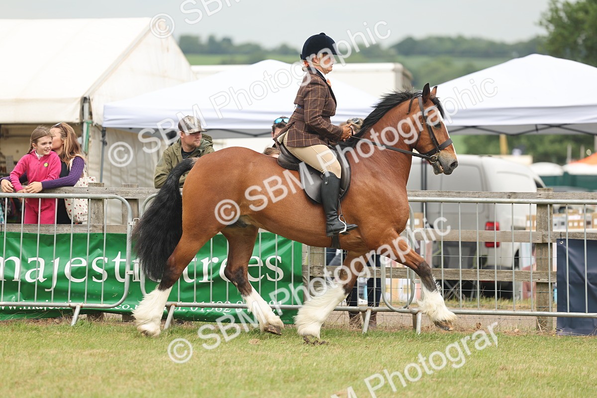SBM_07178 - Class 76-77 - Ridden M&M Welsh Ponies