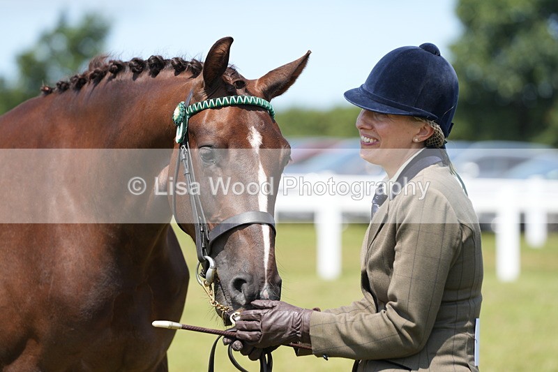 DSC06283 - Class 54: Hunter/Riding Horse/Hack 1 & 2 yr olds