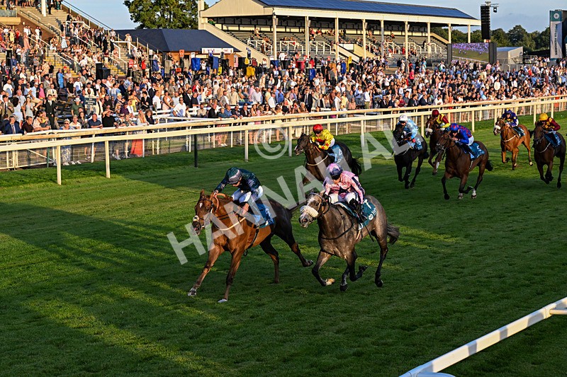 240726-Race 6-Explosive Finnish-0676 - Race 6 20.25pm Sky Bet Go-Racing-In-Yorkshire Summer Festival Handicap
