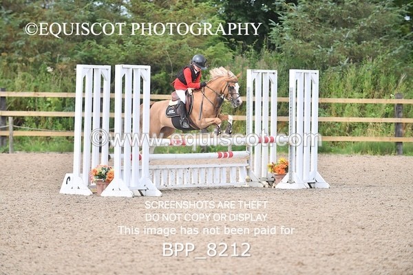 BPP_8212 - CLASS 13 SUN Pony BritiNovice / 0.80m Open