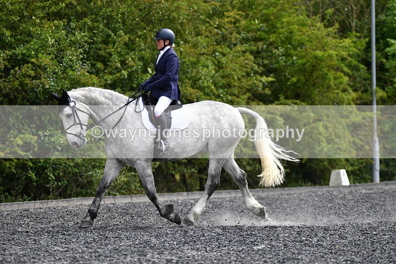 WJ5_2194 - Time 15:05 to 15:30