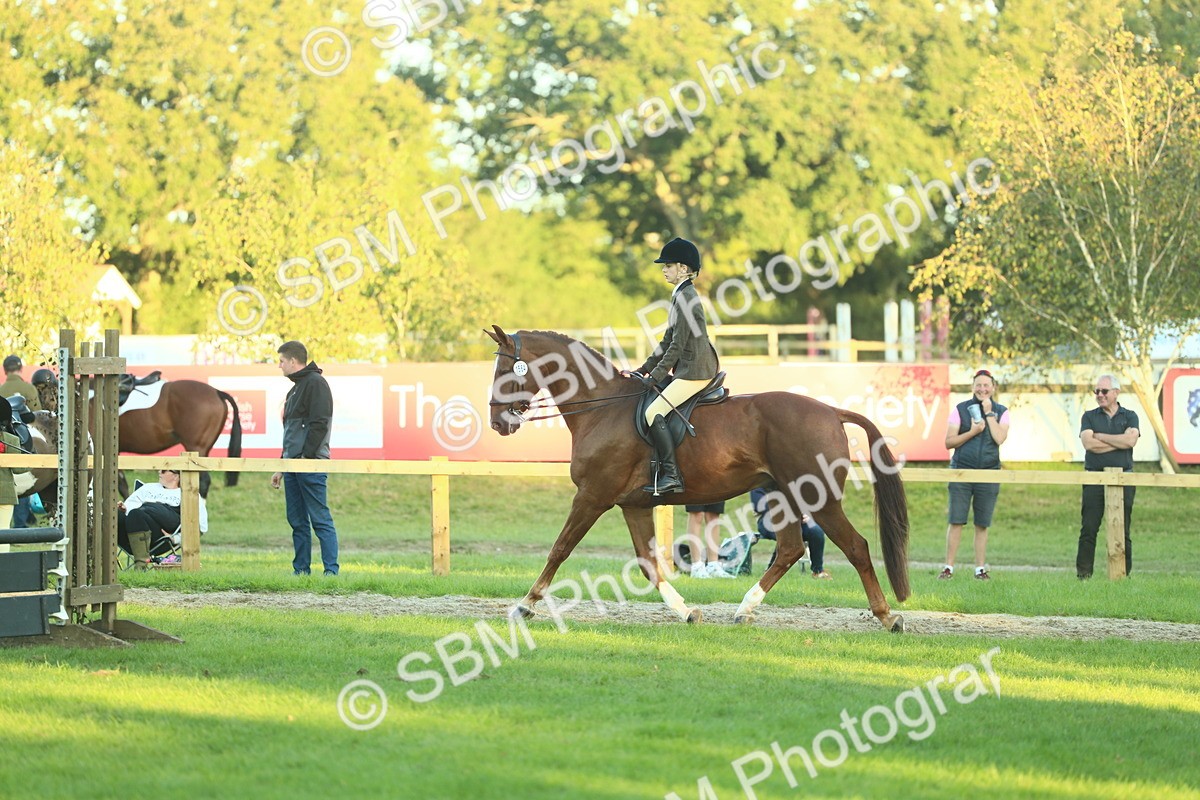 SBM_56447 - S14 - Riding Club Horse