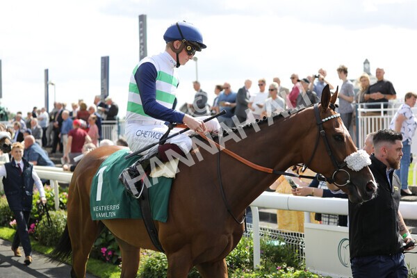 yr19082022r2-19 - Race 2 2.25pm Weatherbys Hamilton Lonsdale Cup (British Champions Series Race)