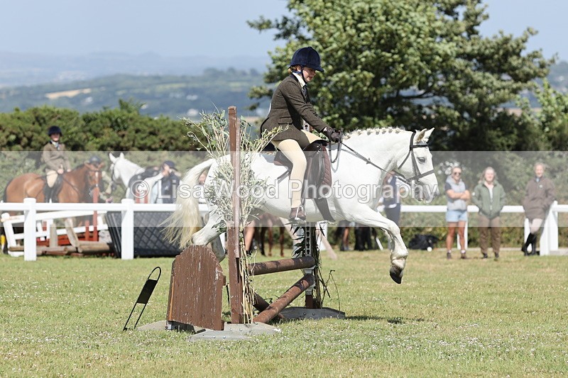 JPP_2238 - Class 19: Working Hunter 60cm