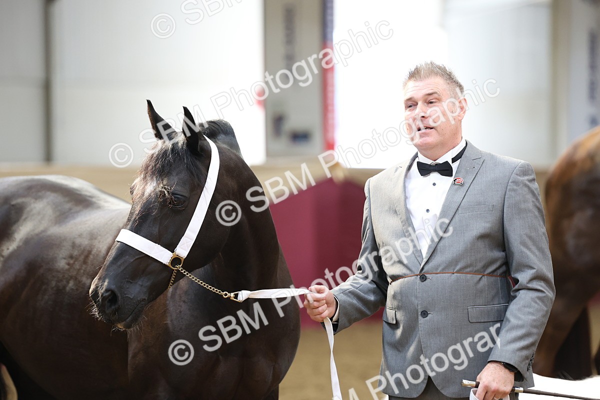 SBM_23319 - Class 903 - Supreme Final - IH Pre Vet