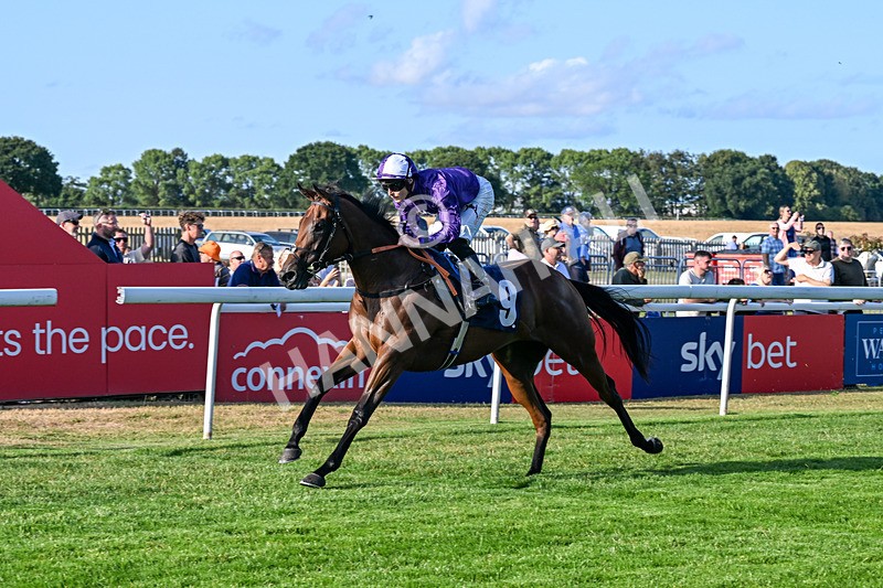 200726-Race 1-Kentucky Rain-5665 - Race 1 18.30pm Racing TV EBF Restricted Maiden Stakes