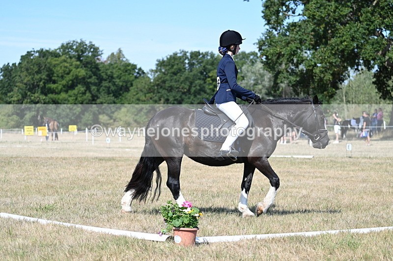 WJ7_0214 - Time 11:03 to 11:28