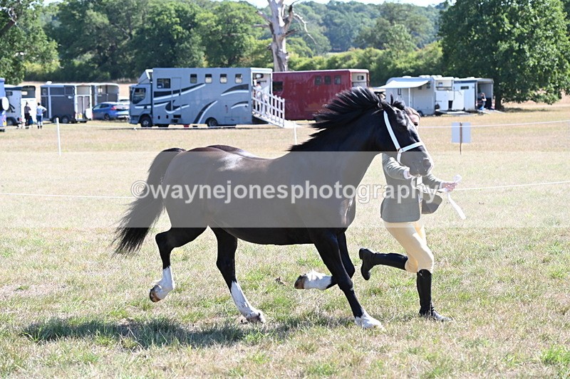 WJ6_4562 - Class 17 Mountain & Moorland