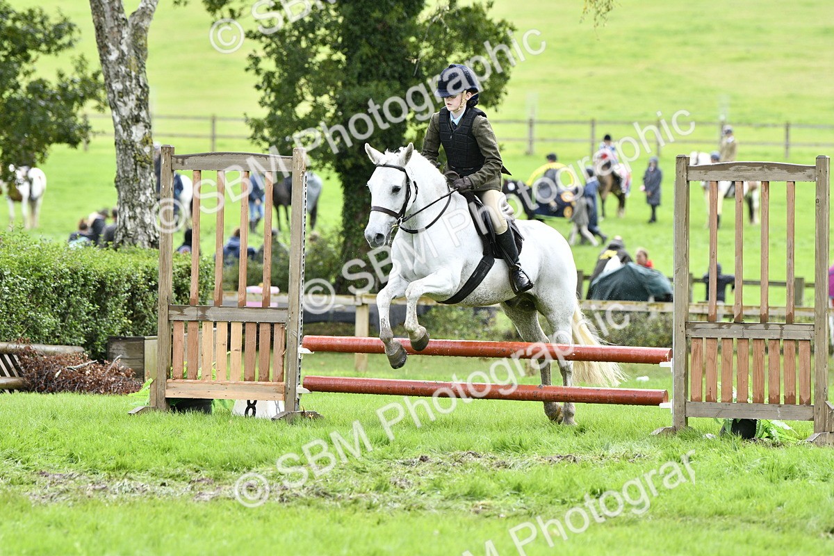 SBM_45586 - S33 - Working Hunter Pony