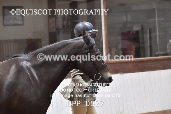BPP_0527 - RING 1