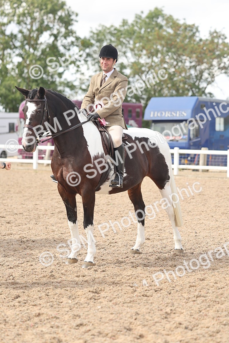SBM_14860 - Class 308 - Ridden Coloured Horse