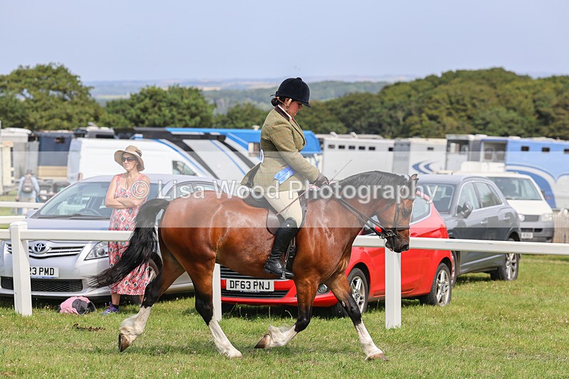 IMG_3728 - M & M Ridden Championship