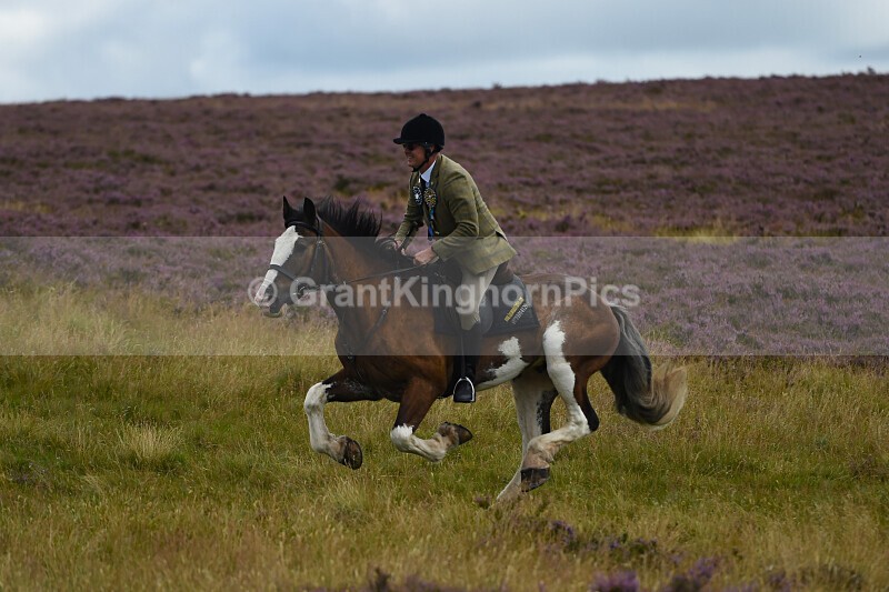 _149 - Lauder Common Riding 2025
