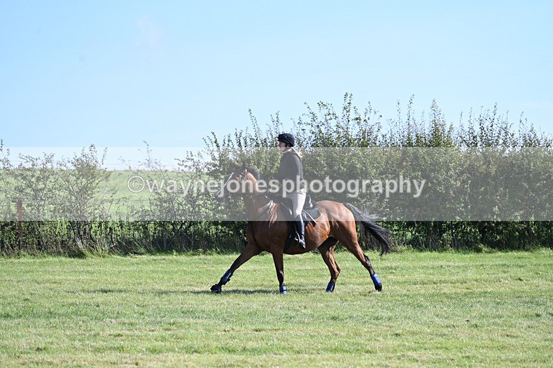 WJ7_5762 - Time 10:38 to 10:51