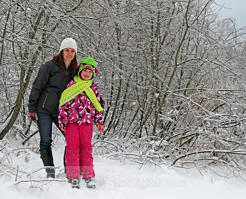 Frozen Moment - Winterscape