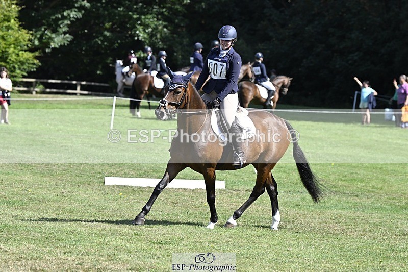 250822A-105443-20508 - DR 10.00 to 11.00