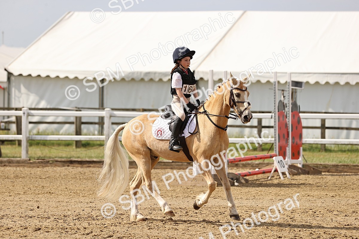 SBM_001463 - Class 1 - 40cm