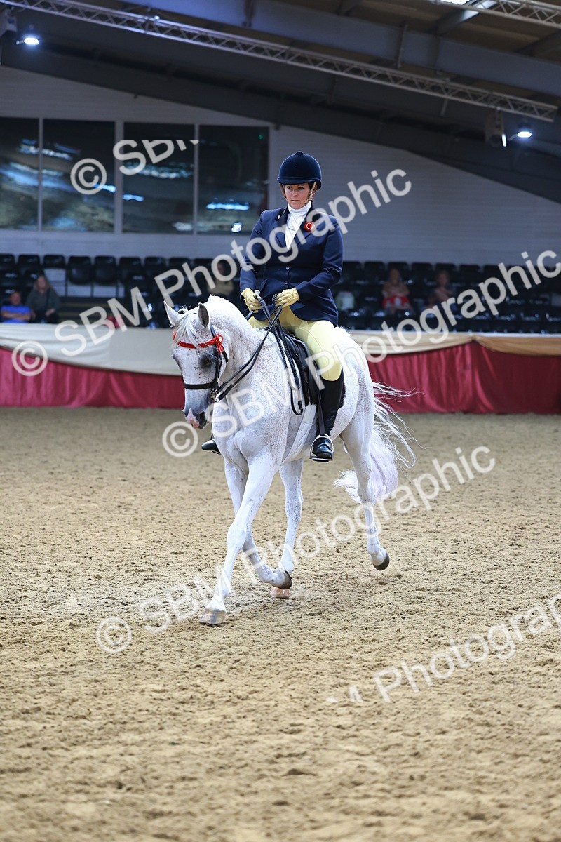 SBM_23364 - class 906 - Supreme Final - Ridden Pre Vet