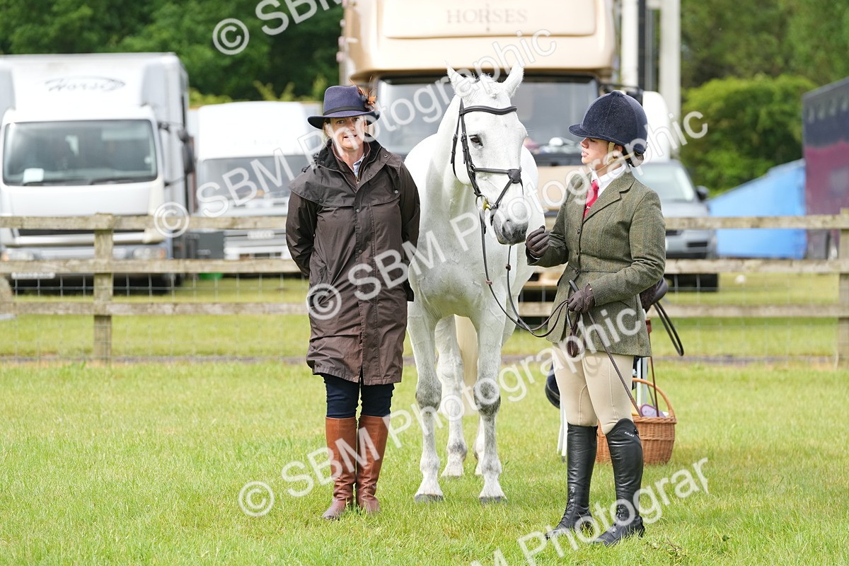 SBM_12721 - Class 97-98 - LIHS BSHA Rising Star Working Show Horse Hunter