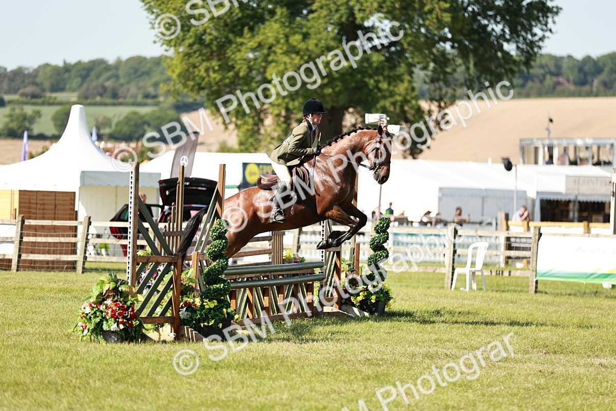 SBM_19140 - Class 115-116 - LIHS BSHA Rising Star Working Hunter & Show Horse