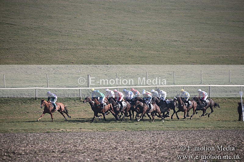 PtP 230219 202 - Vine & Craven Point-To-Point - Barbury 23/02/19