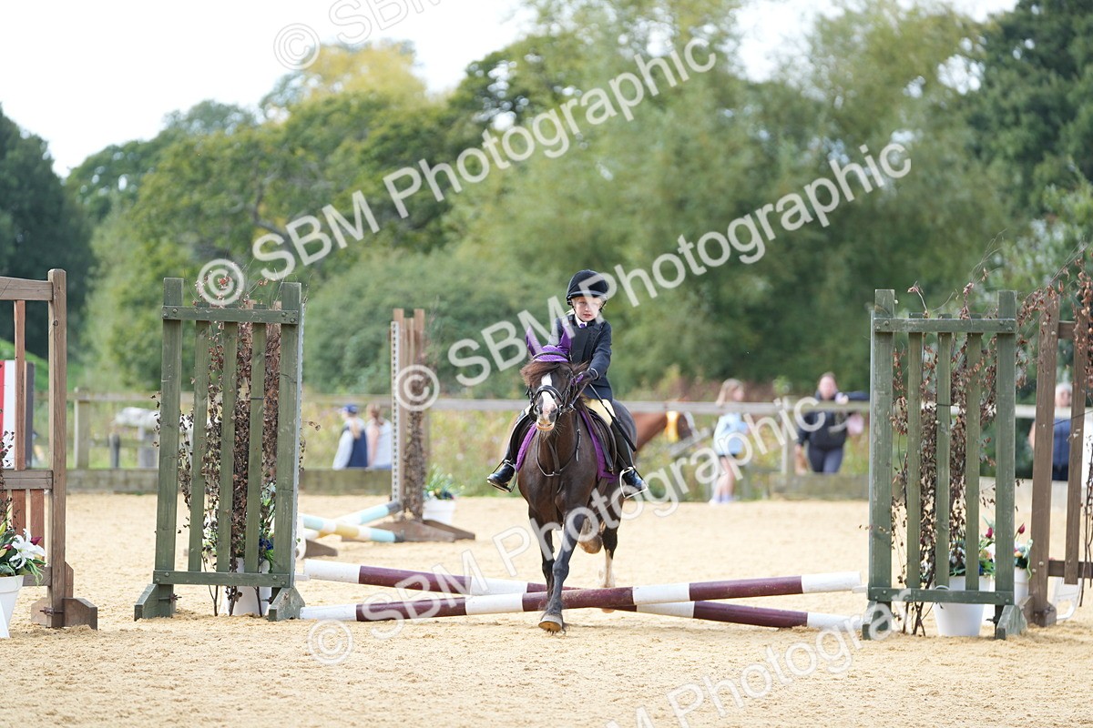 SBM_64480 - J2 - Mini Tour Junior Pony 30cm Championship