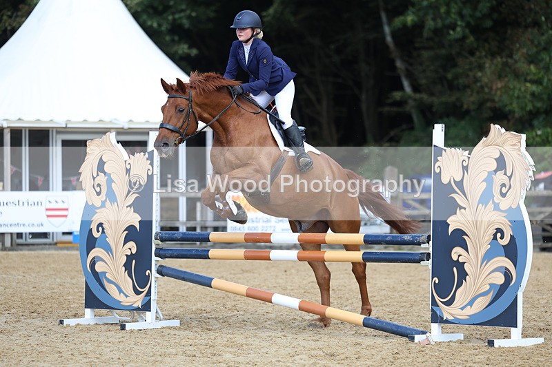 3E7A9077 - Class 9: Senior British Novice/90cm open