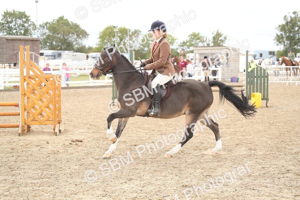 SBM_17925 - Class 508b - Working Veteran 70cm (20+)