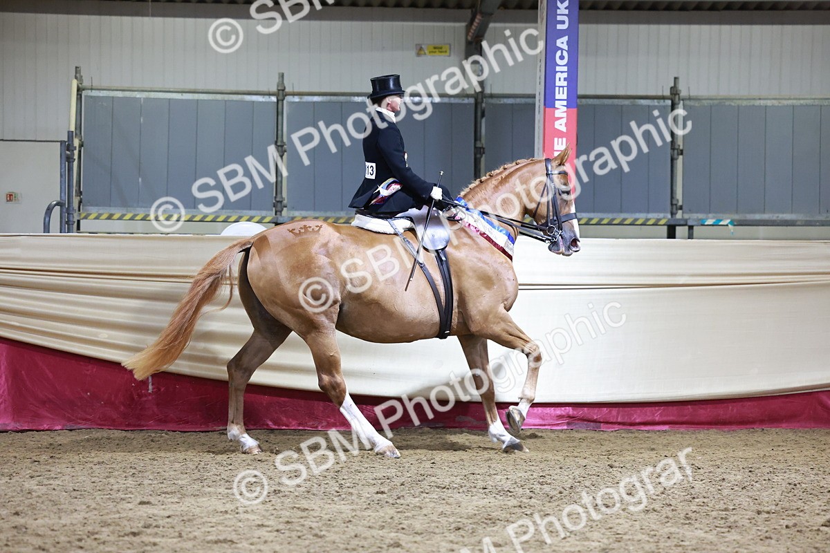 SBM_20971 - Class N - Side Saddle Champ