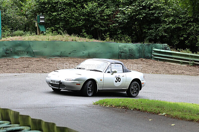 Pete Wilson 22-8-20-319 - Prescott Aug 22nd 2020