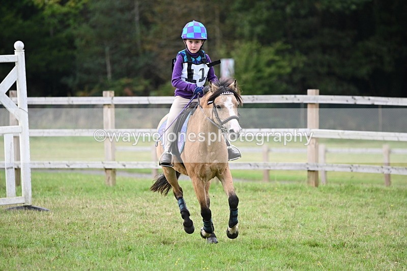 WJ6_0107 - 40cm Time 10:00 to 10:28