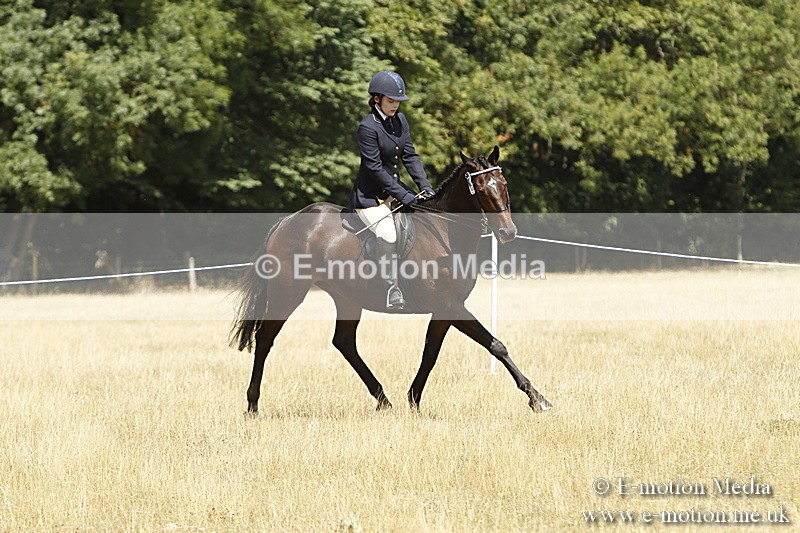 _BS_0788 - BVRC Show 2018 Ring 1