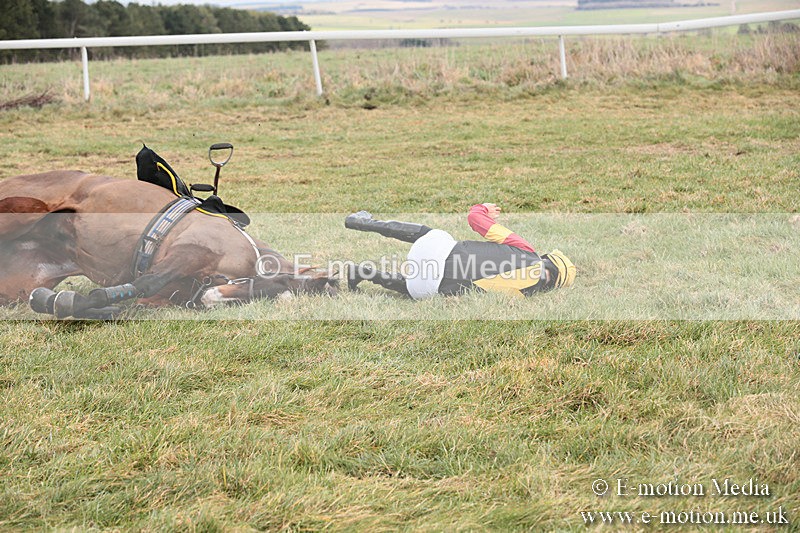 PtP 230119 68 - Royal Artillery Point-to-Point  - Larkhill  - 26/01/19