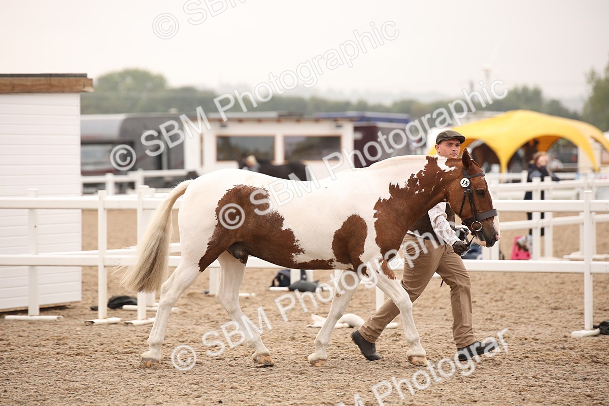 SBM_22111 - Class 707 - Ridden Groom-Helpers Class