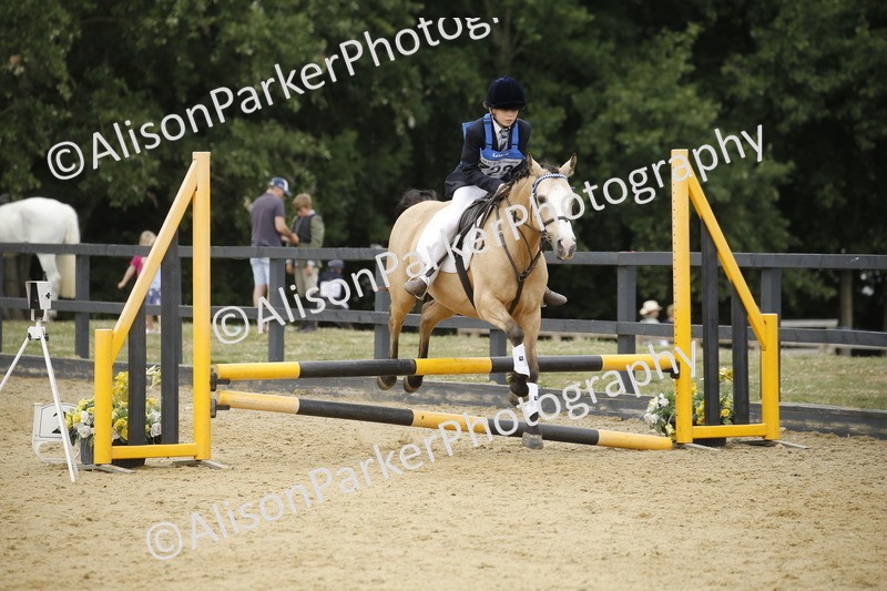 20250622-6033 - 60cm