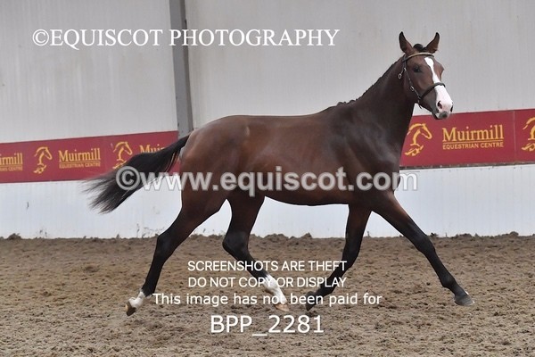 BPP_2281 - AFTERNOON 12.30 - 3.30PM