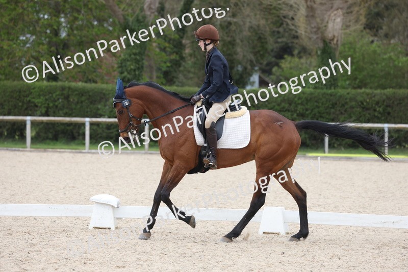 20260404-1005 - Class 6 - Novice 3