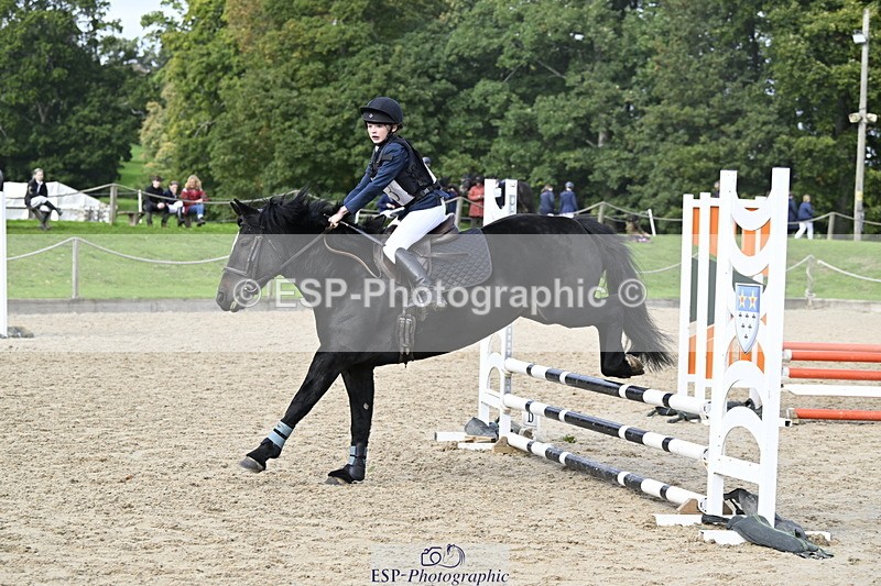 251005A-125823-03983 - Cls 08 Mini 70-75cm