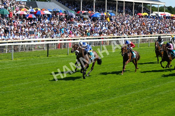 120725-Race 3-Fox Legacy-5681 - Race 3 3.10pm John Smith's Cup Handicap
