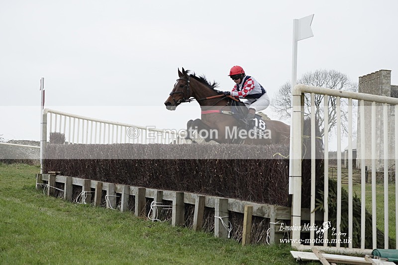 PtP 040323 458 - Duke of Beauforts Hunt Point-to-Point Didmarton 04/03/23