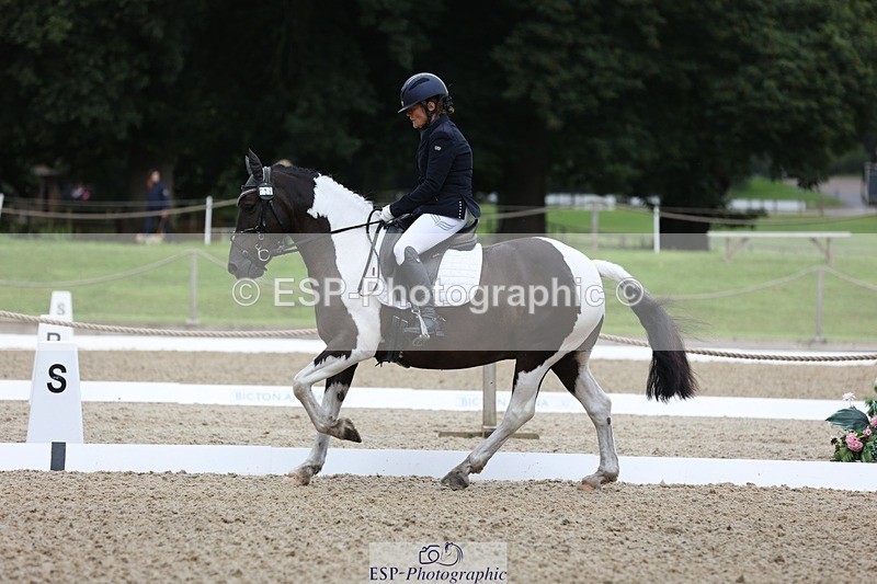 230812-100824-03143 - Cls 5 Novice Bronze Start to 10.55 break