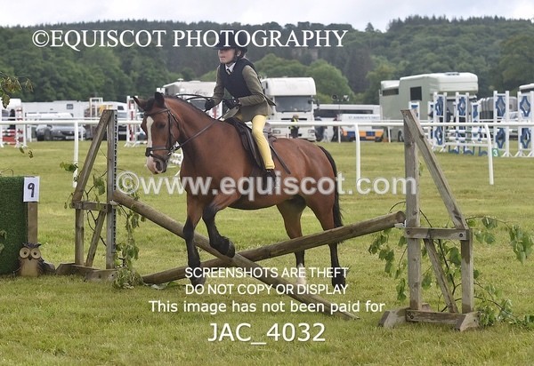 JAC_4032 - 40CM WORKING HUNTER