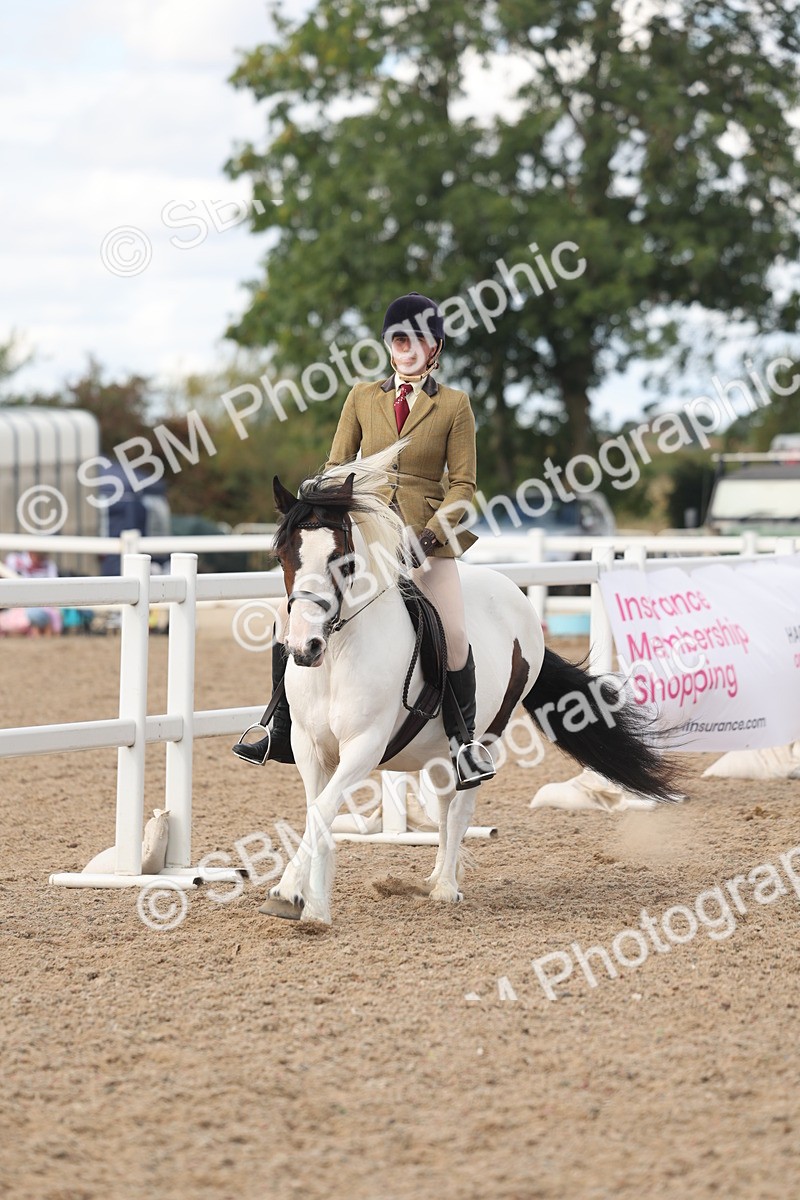 SBM_14667 - Class 307 - Ridden Coloured Pony