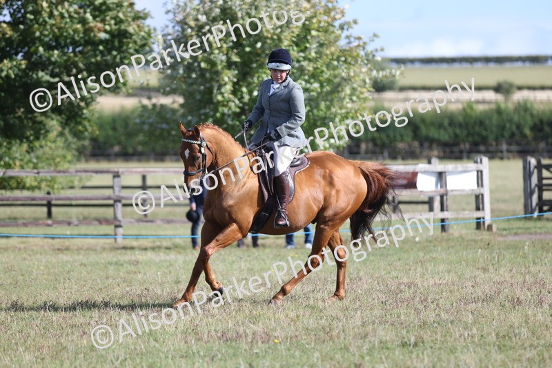 20250831-0902 - Class 14 - Ex Racehorse