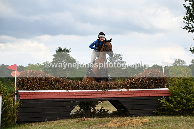 WJ6_6645 - Time 14:30pm to 14:45pm