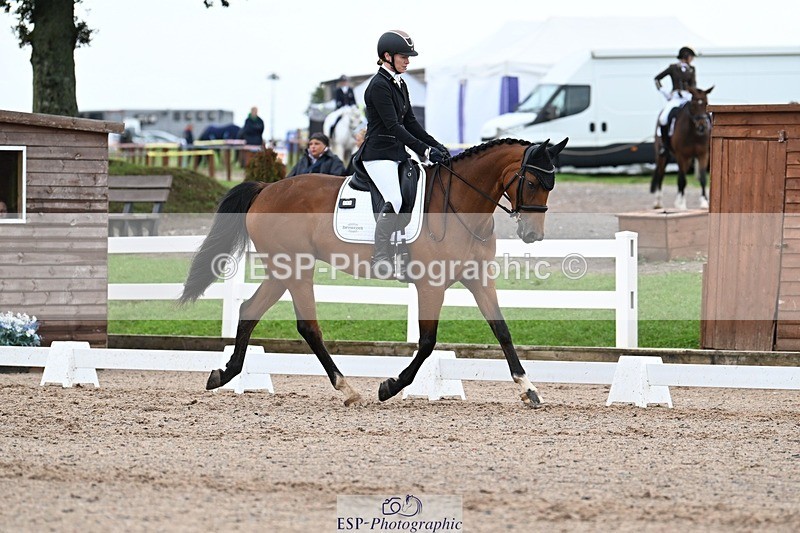 250907-121127-08243 - 066-Alice.KneenSpringtime.Marvel